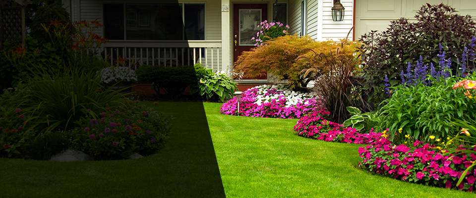 Flushing Landscapers