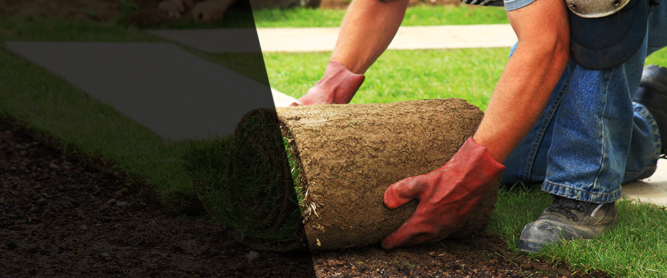 Flushing Landscapers