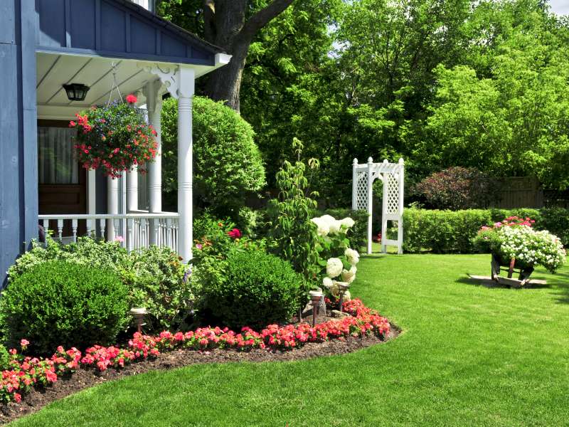Landscape Repair